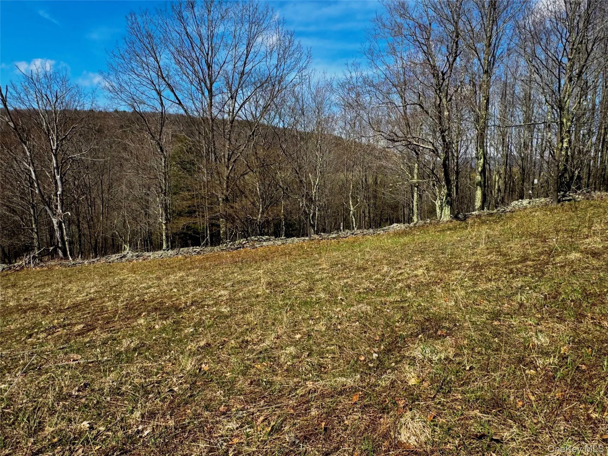 Hog Mountain, Middletown, NY, ,Land,For Rent,Hog Mountain,0,1009128 Hog Mountain, Middletown, NY, ,Land,For Rent,Hog Mountain,0,1009128
