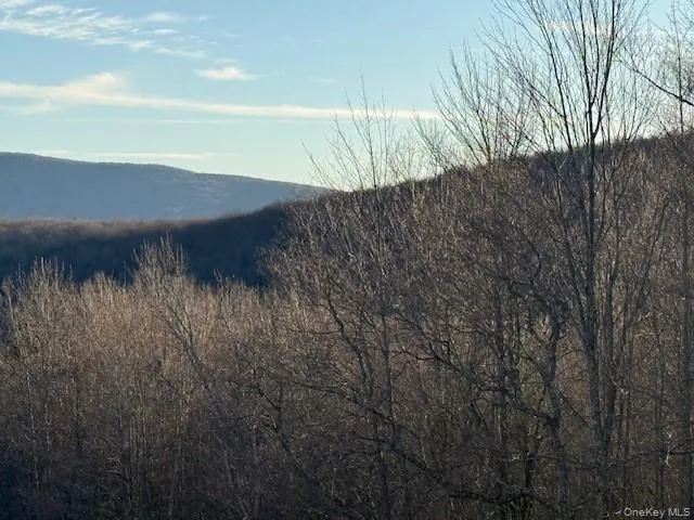 Hog Mountain, Middletown, NY, ,Land,For Rent,Hog Mountain,0,1009128 Hog Mountain, Middletown, NY, ,Land,For Rent,Hog Mountain,0,1009128