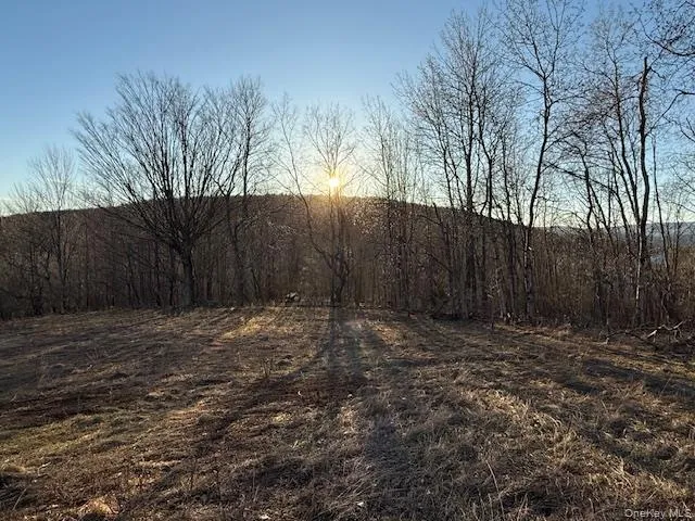 Hog Mountain, Middletown, NY, ,Land,For Rent,Hog Mountain,0,1009128 Hog Mountain, Middletown, NY, ,Land,For Rent,Hog Mountain,0,1009128