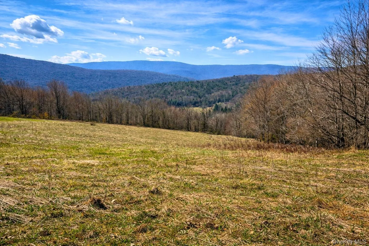 Hog Mountain, Middletown, NY, ,Land,For Rent,Hog Mountain,0,1009128 Hog Mountain, Middletown, NY, ,Land,For Rent,Hog Mountain,0,1009128