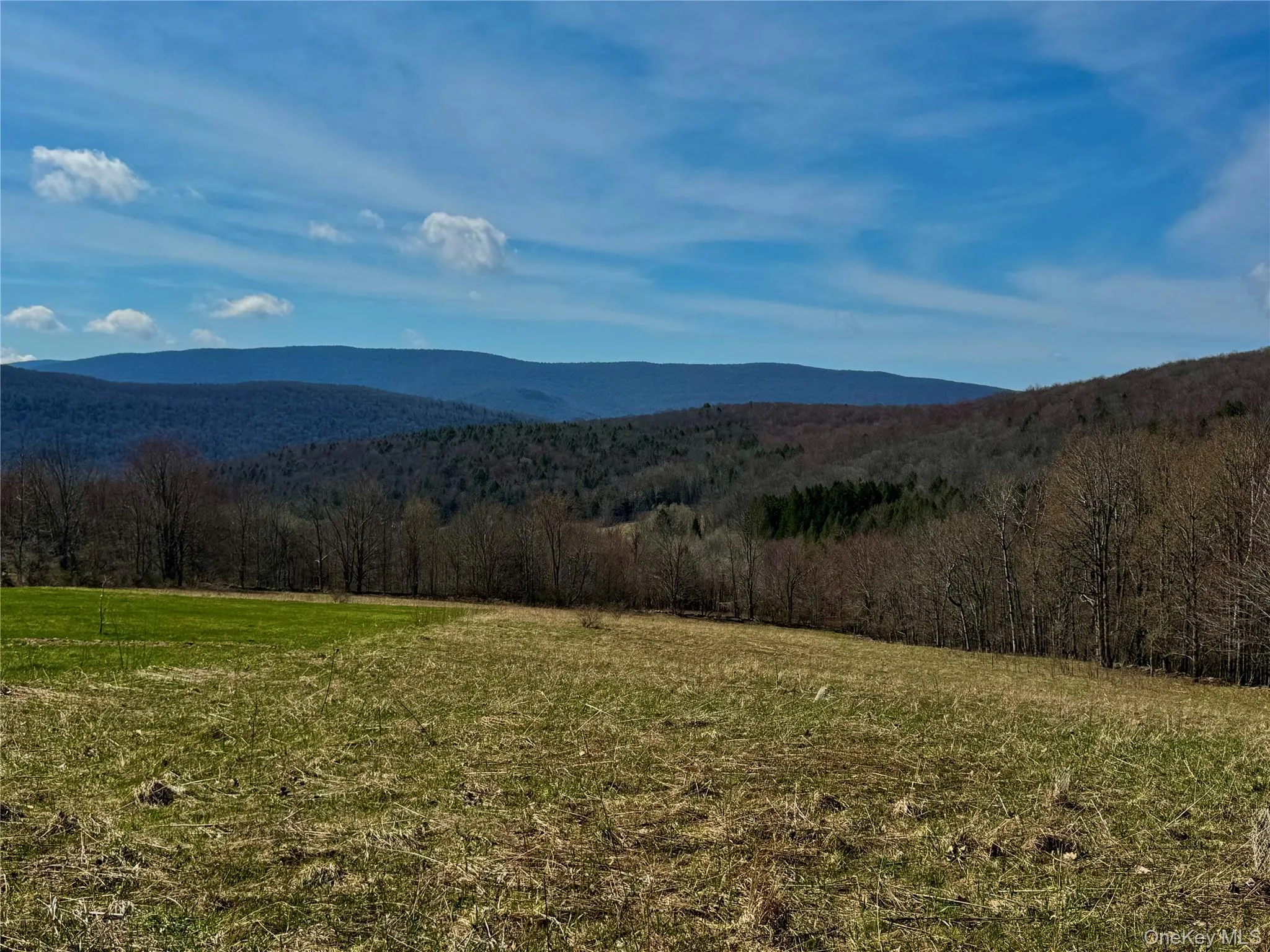 Hog Mountain, Middletown, NY, ,Land,For Rent,Hog Mountain,0,1009128 Hog Mountain, Middletown, NY, ,Land,For Rent,Hog Mountain,0,1009128