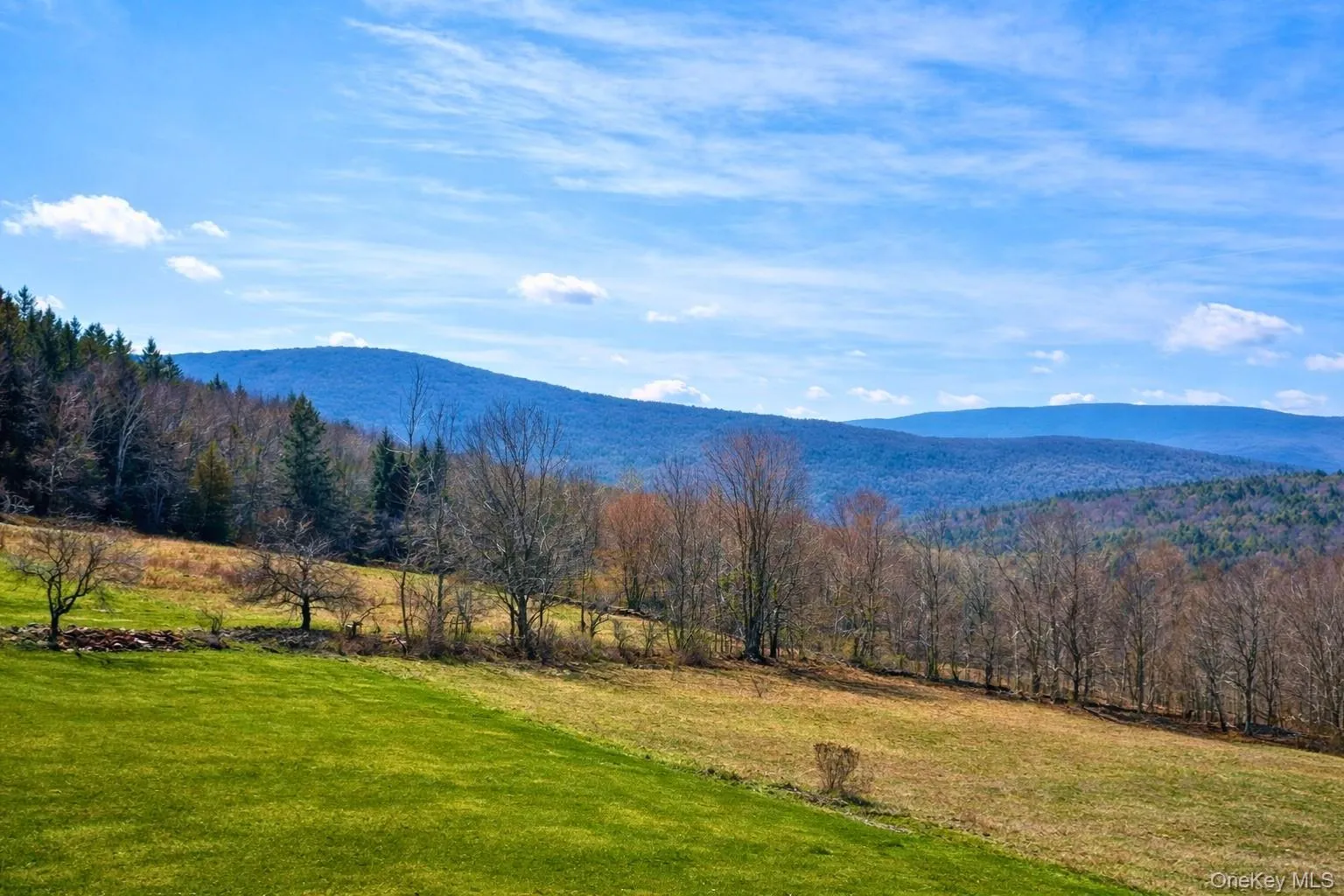 Hog Mountain, Middletown, NY, ,Land,For Rent,Hog Mountain,0,1009128 Hog Mountain, Middletown, NY, ,Land,For Rent,Hog Mountain,0,1009128