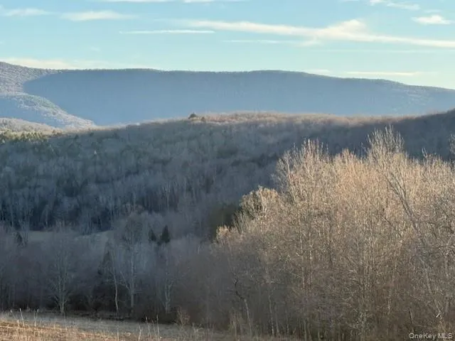 Hog Mountain, Middletown, NY, ,Land,For Rent,Hog Mountain,0,1009128 Hog Mountain, Middletown, NY, ,Land,For Rent,Hog Mountain,0,1009128