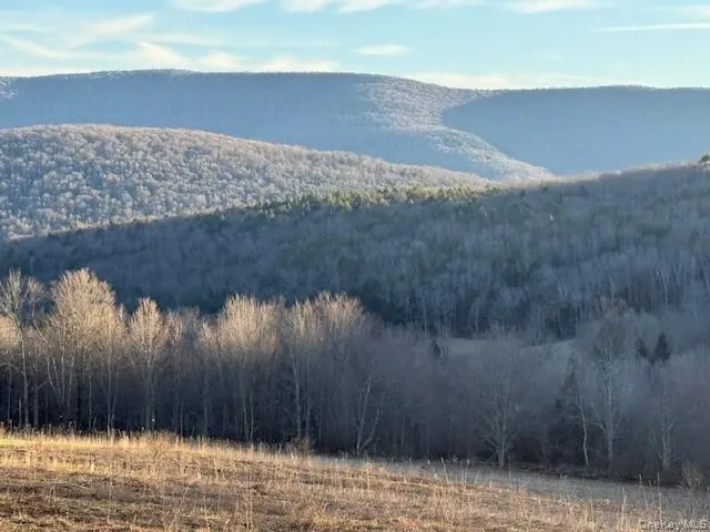 Hog Mountain, Middletown, NY, ,Land,For Rent,Hog Mountain,0,1009128 Hog Mountain, Middletown, NY, ,Land,For Rent,Hog Mountain,0,1009128
