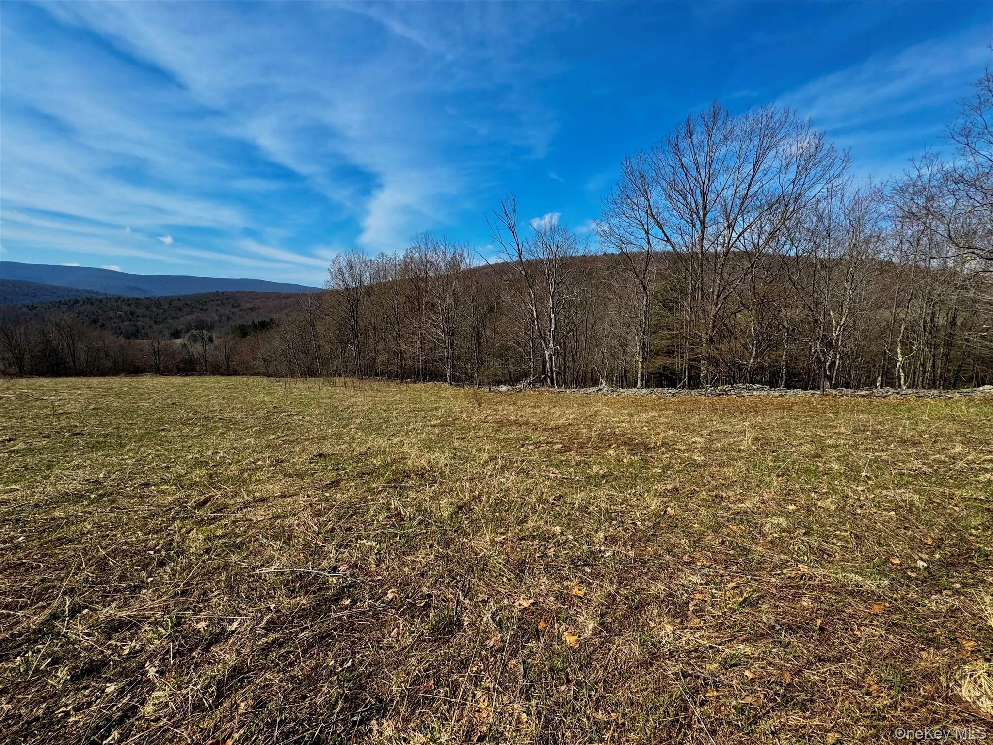 Hog Mountain, Middletown, NY, ,Land,For Rent,Hog Mountain,0,1009128 Hog Mountain, Middletown, NY, ,Land,For Rent,Hog Mountain,0,1009128