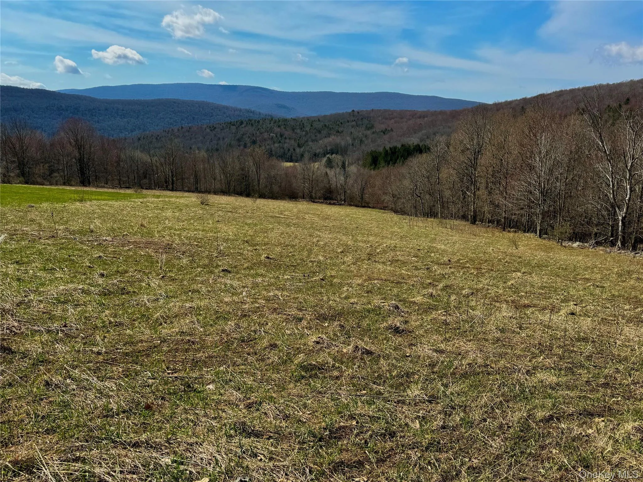 Hog Mountain, Middletown, NY, ,Land,For Rent,Hog Mountain,0,1009128 Hog Mountain, Middletown, NY, ,Land,For Rent,Hog Mountain,0,1009128