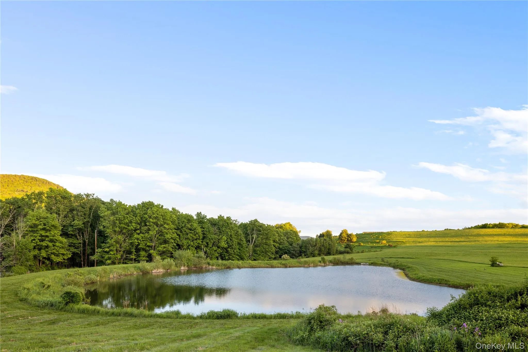 335 Dawson Road, Hillsdale, NY, 5 Bedrooms Bedrooms, 12 Rooms Rooms,5 BathroomsBathrooms,Residential,For Rent,Dawson,0,1009156 335 Dawson Road, Hillsdale, NY, 5 Bedrooms Bedrooms, 12 Rooms Rooms,5 BathroomsBathrooms,Residential,For Rent,Dawson,0,1009156