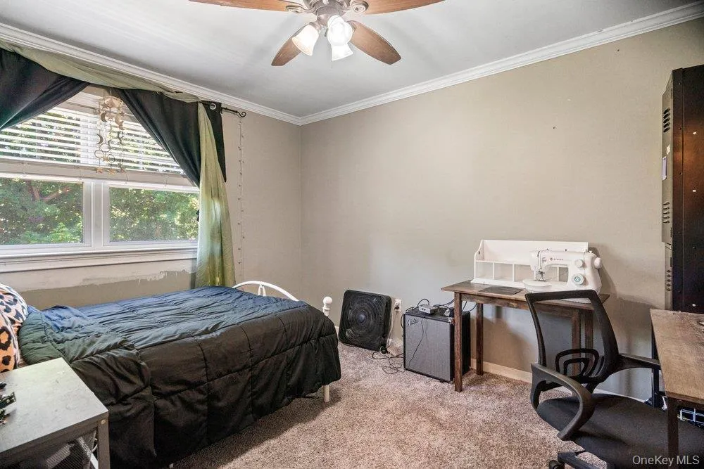 131 Jamaica Avenue, Brookhaven, NY, 4 Bedrooms Bedrooms, 8 Rooms Rooms,2 BathroomsBathrooms,Residential,For Rent,Jamaica,0,1009209 131 Jamaica Avenue, Brookhaven, NY, 4 Bedrooms Bedrooms, 8 Rooms Rooms,2 BathroomsBathrooms,Residential,For Rent,Jamaica,0,1009209