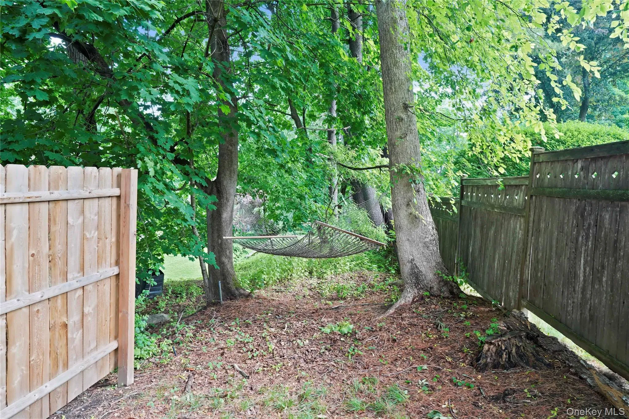61 Ridgewood Drive, Mount Pleasant, NY, 3 Bedrooms Bedrooms, 7 Rooms Rooms,2 BathroomsBathrooms,Residential,For Rent,Ridgewood,0,1009246 61 Ridgewood Drive, Mount Pleasant, NY, 3 Bedrooms Bedrooms, 7 Rooms Rooms,2 BathroomsBathrooms,Residential,For Rent,Ridgewood,0,1009246