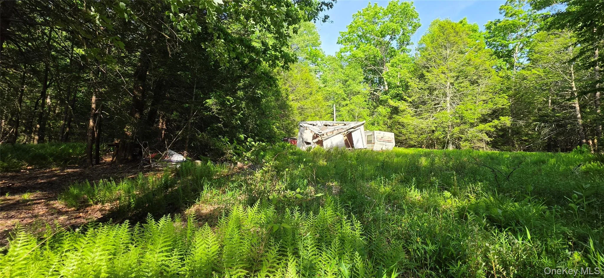 00 Church aka Pan Am Road, Fallsburg, NY, ,Land,For Rent,Church aka Pan Am,0,1009295 00 Church aka Pan Am Road, Fallsburg, NY, ,Land,For Rent,Church aka Pan Am,0,1009295