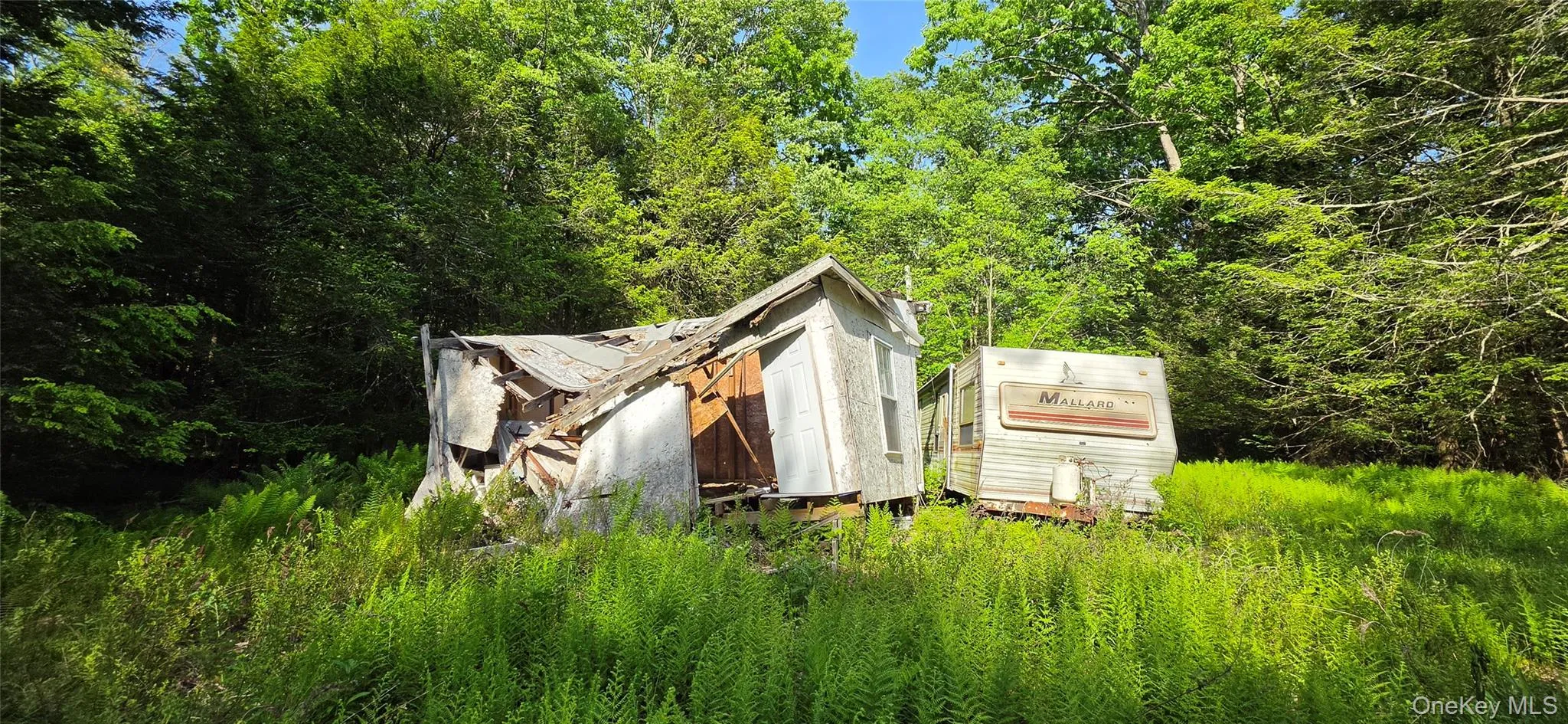 00 Church aka Pan Am Road, Fallsburg, NY, ,Land,For Rent,Church aka Pan Am,0,1009295 00 Church aka Pan Am Road, Fallsburg, NY, ,Land,For Rent,Church aka Pan Am,0,1009295