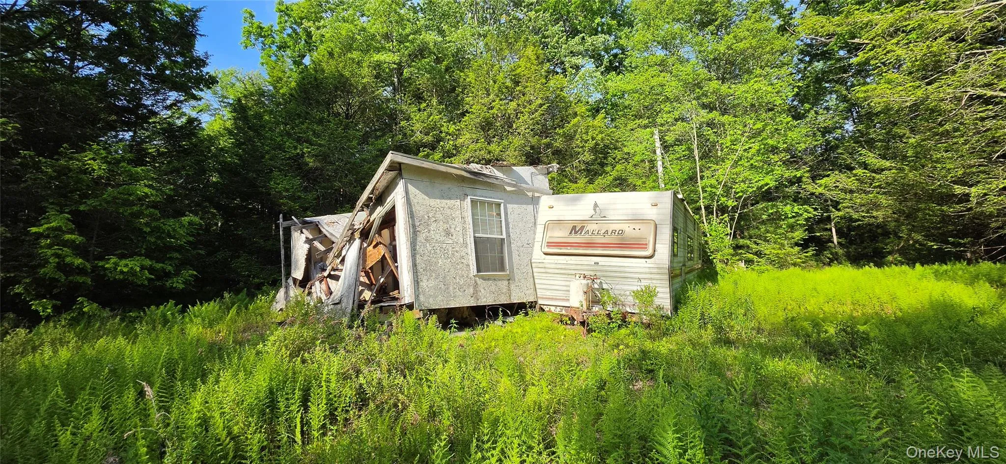 00 Church aka Pan Am Road, Fallsburg, NY, ,Land,For Rent,Church aka Pan Am,0,1009295 00 Church aka Pan Am Road, Fallsburg, NY, ,Land,For Rent,Church aka Pan Am,0,1009295