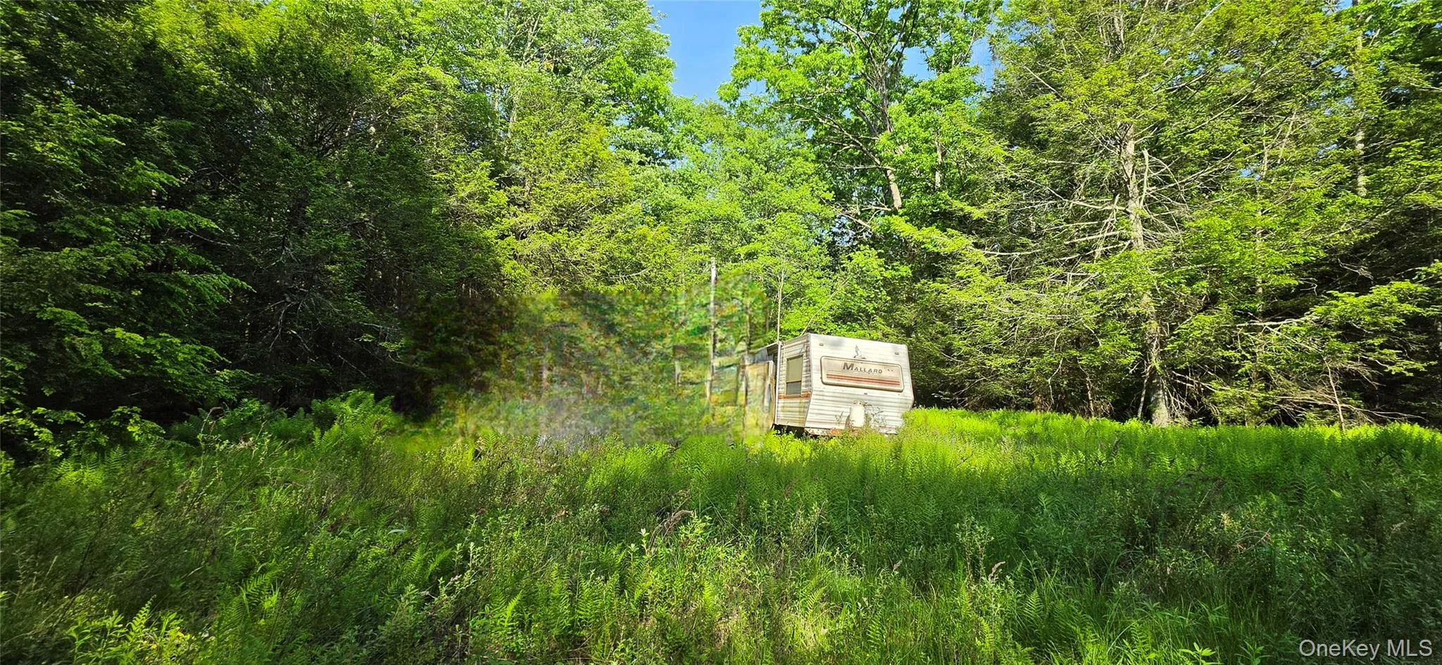 00 Church aka Pan Am Road, Fallsburg, NY, ,Land,For Rent,Church aka Pan Am,0,1009295 00 Church aka Pan Am Road, Fallsburg, NY, ,Land,For Rent,Church aka Pan Am,0,1009295