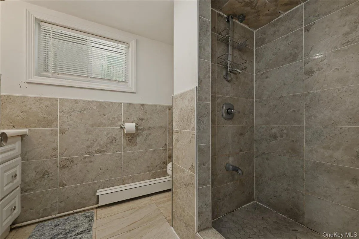 Bathroom Basement Bathroom Basement
