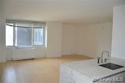 322 W 57TH ST UNIT30V NEW 57 TH ST, New York, NY, 2 Rooms Rooms,1 BathroomBathrooms,Residential Lease,For Rent,57 TH ST,0,1009351 322 W 57TH ST UNIT30V NEW 57 TH ST, New York, NY, 2 Rooms Rooms,1 BathroomBathrooms,Residential Lease,For Rent,57 TH ST,0,1009351
