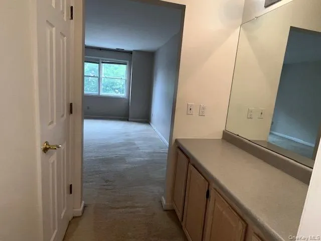Full Bathroom & Walk in closet in Primary Bedroom Full Bathroom & Walk in closet in Primary Bedroom