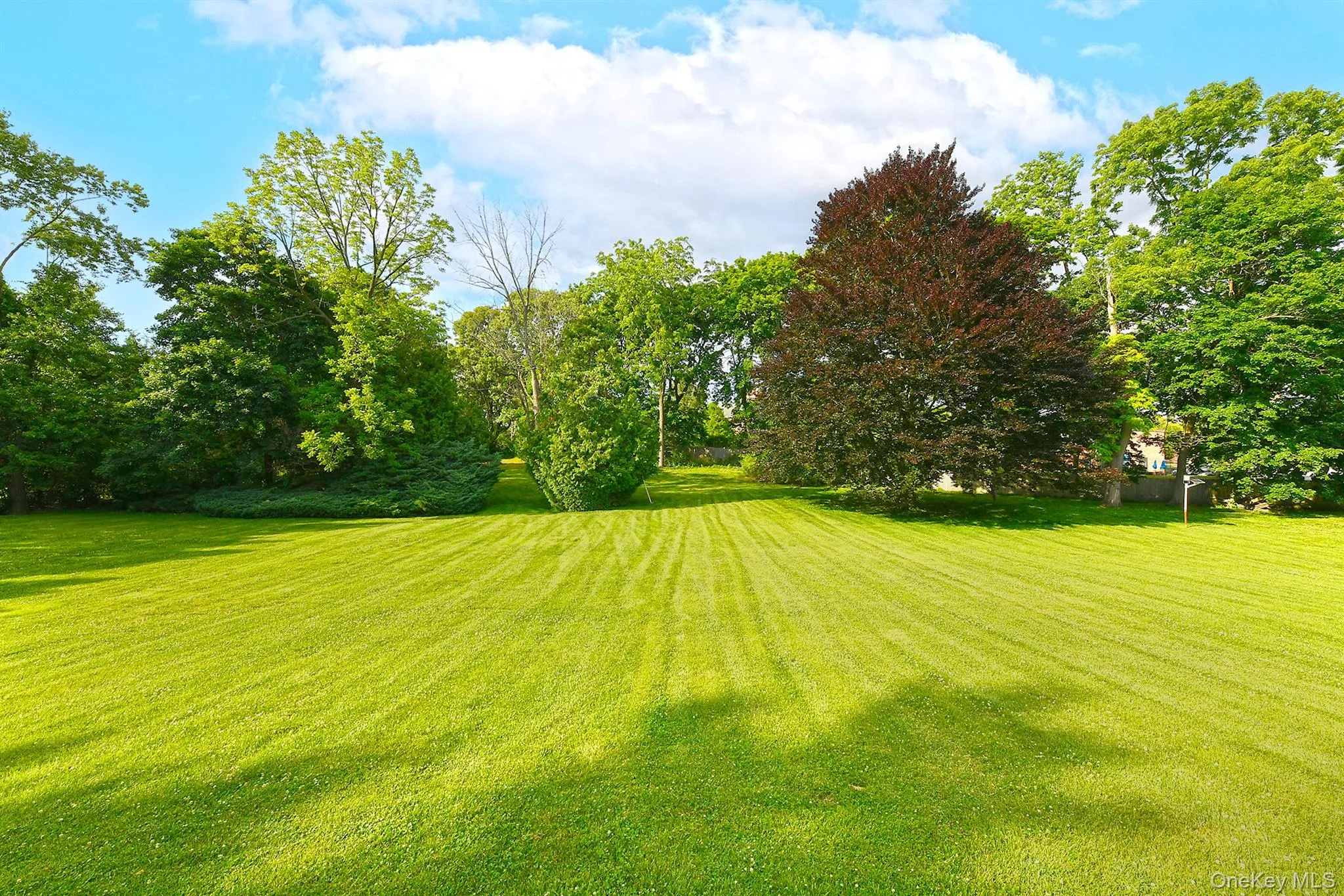 14 Norgate Road, Oyster Bay, NY, 5 Bedrooms Bedrooms, 10 Rooms Rooms,4 BathroomsBathrooms,Residential,For Rent,Norgate,0,1009371 14 Norgate Road, Oyster Bay, NY, 5 Bedrooms Bedrooms, 10 Rooms Rooms,4 BathroomsBathrooms,Residential,For Rent,Norgate,0,1009371