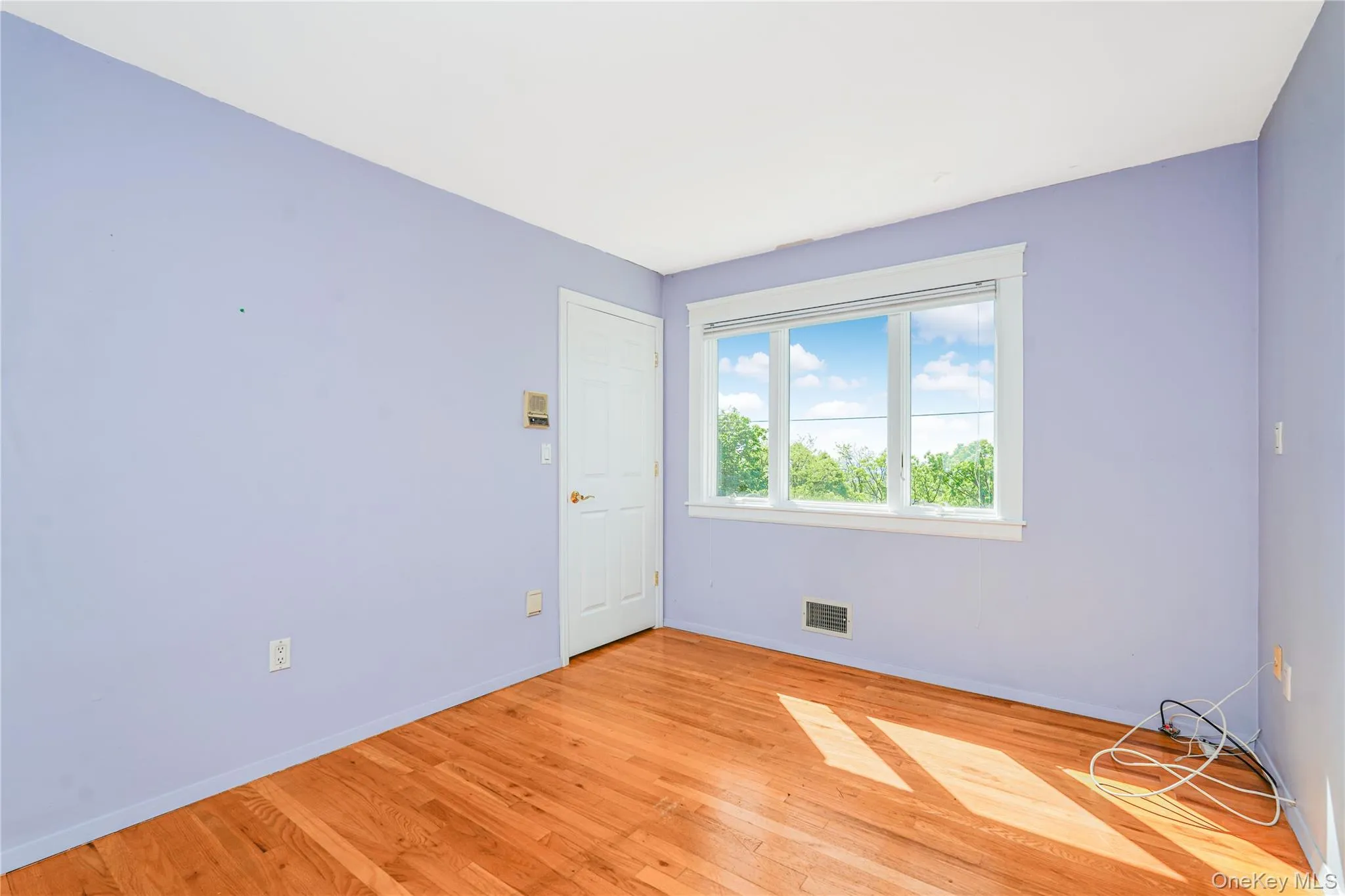 Hardwood flooring throughout featuring a multi-pane window, white trim, and a paneled door Hardwood flooring throughout featuring a multi-pane window, white trim, and a paneled door
