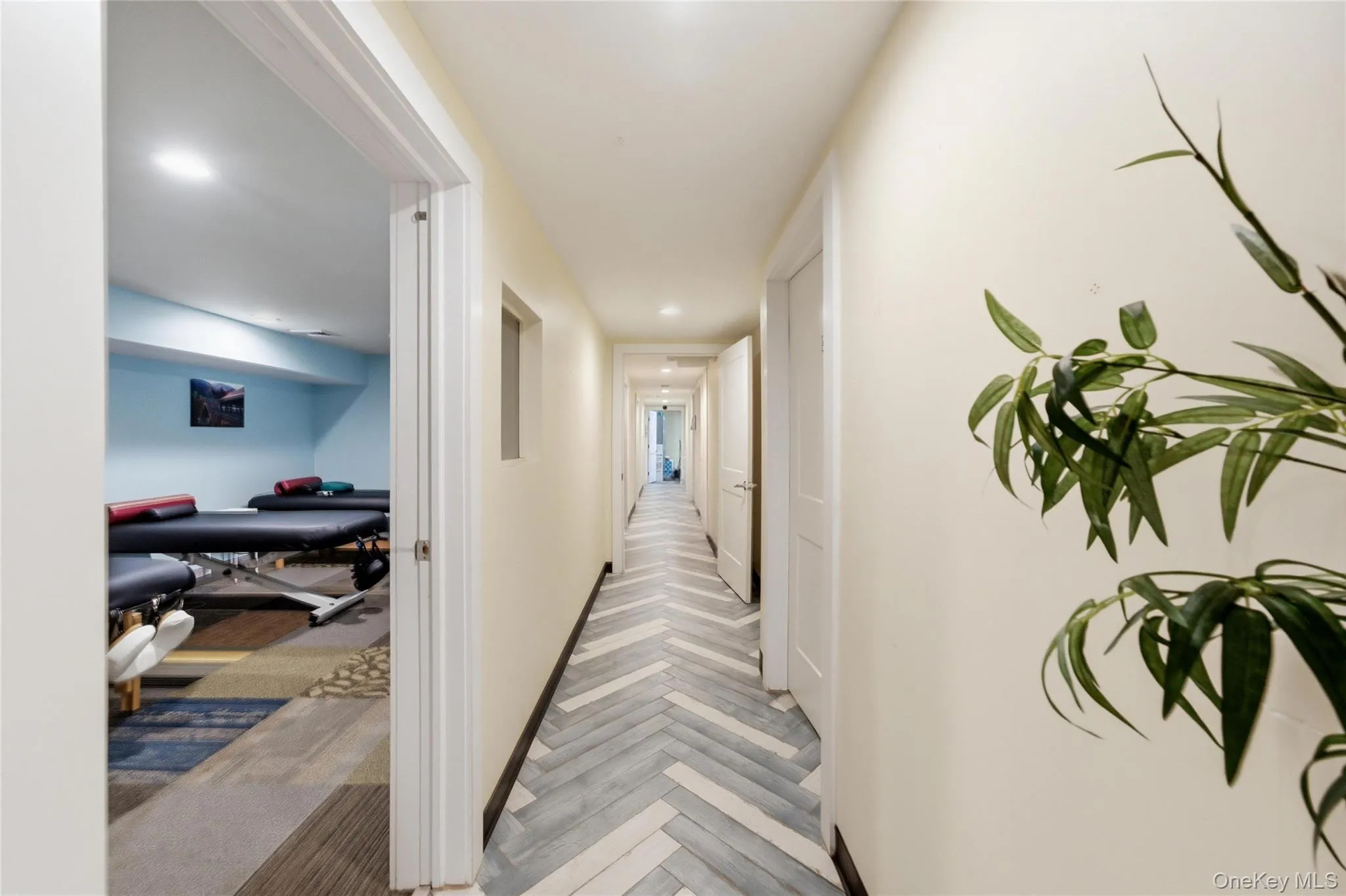 209 Broadway, Babylon, NY, ,Commercial Lease,For Rent,Broadway,0,1009421 209 Broadway, Babylon, NY, ,Commercial Lease,For Rent,Broadway,0,1009421