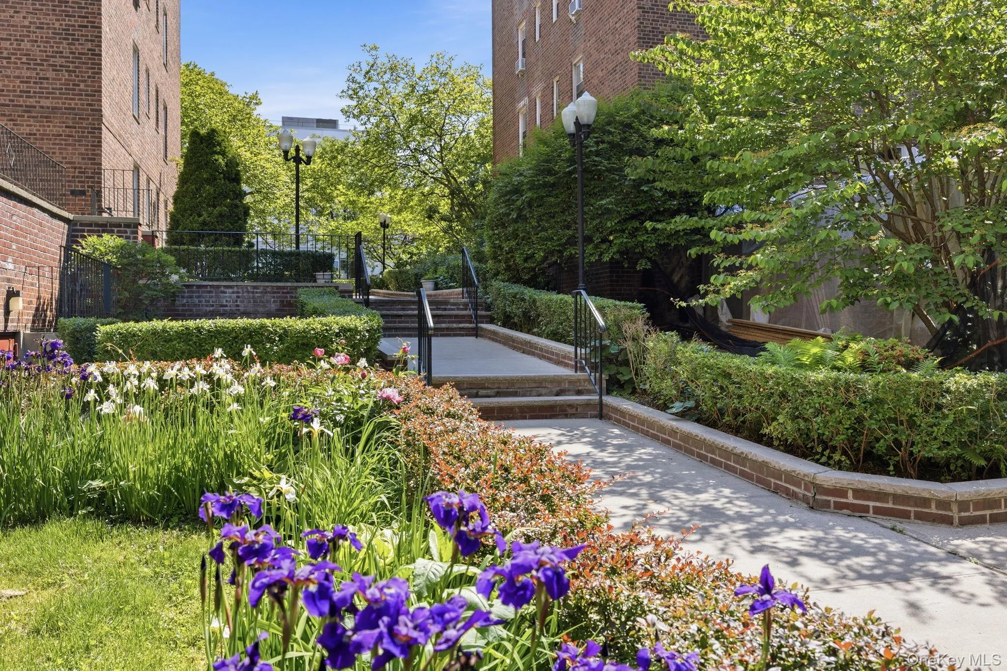 105-24 67 Avenue, New York, NY, 2 Rooms Rooms,1 BathroomBathrooms,Residential,For Rent,67,0,1009433 105-24 67 Avenue, New York, NY, 2 Rooms Rooms,1 BathroomBathrooms,Residential,For Rent,67,0,1009433