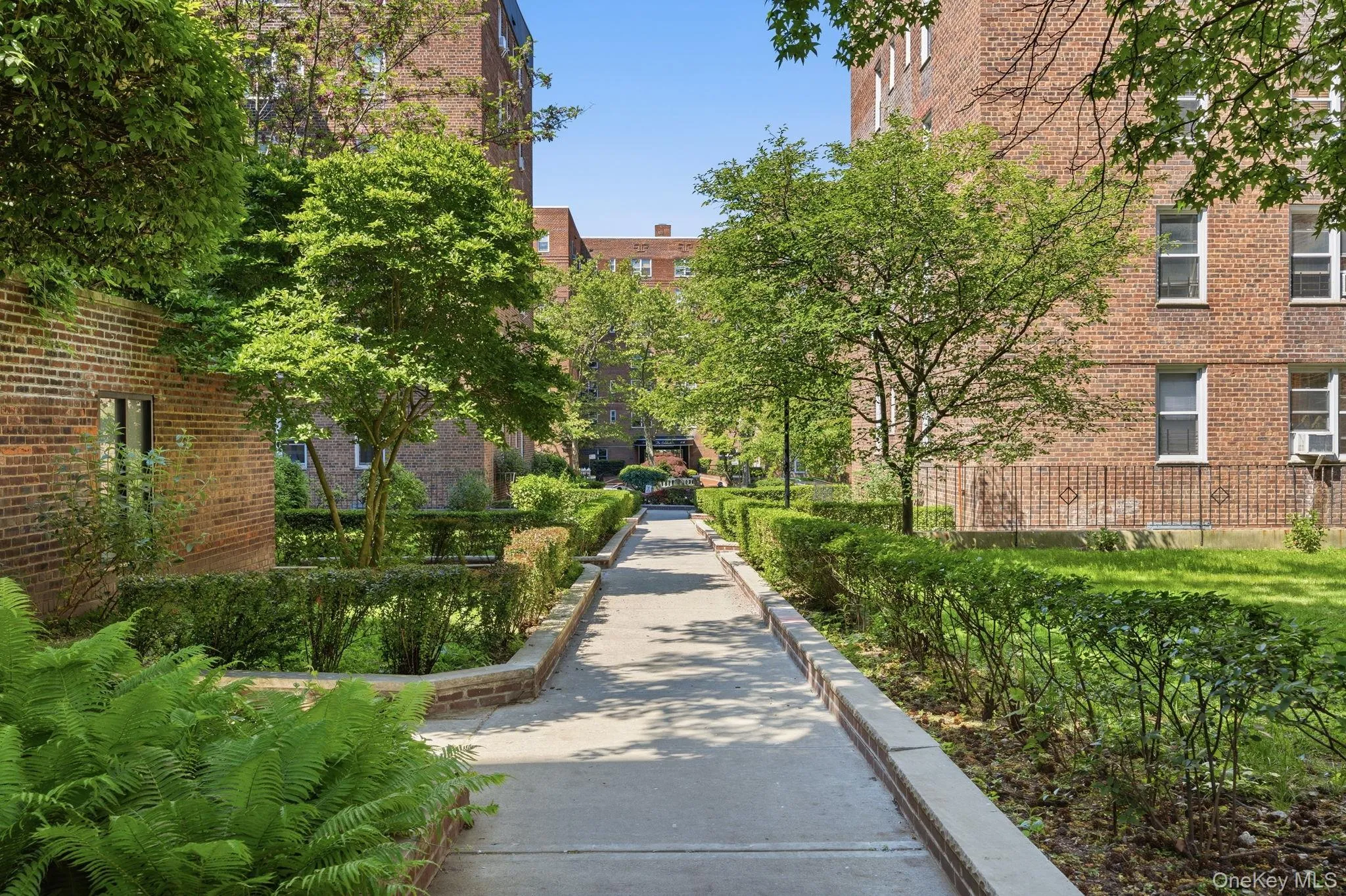 105-24 67 Avenue, New York, NY, 2 Rooms Rooms,1 BathroomBathrooms,Residential,For Rent,67,0,1009433 105-24 67 Avenue, New York, NY, 2 Rooms Rooms,1 BathroomBathrooms,Residential,For Rent,67,0,1009433