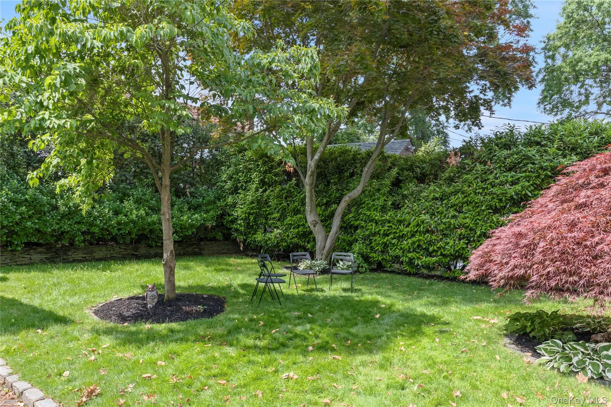 96 Meadow Street, Hempstead, NY, 3 Bedrooms Bedrooms, 6 Rooms Rooms,1 BathroomBathrooms,Residential,For Rent,Meadow,0,1009450 96 Meadow Street, Hempstead, NY, 3 Bedrooms Bedrooms, 6 Rooms Rooms,1 BathroomBathrooms,Residential,For Rent,Meadow,0,1009450