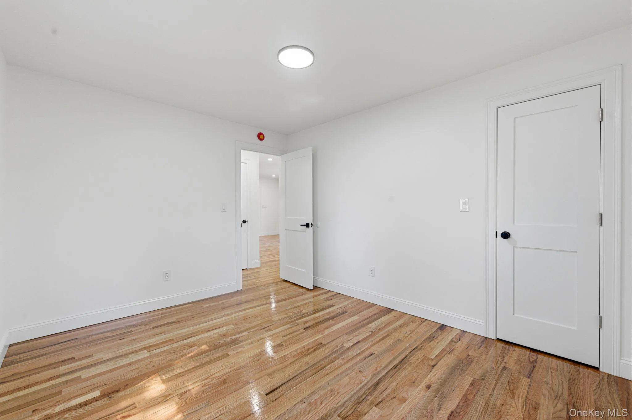 26 Brandon Avenue, Babylon, NY, 4 Bedrooms Bedrooms, 7 Rooms Rooms,3 BathroomsBathrooms,Residential,For Rent,Brandon,0,1009464 26 Brandon Avenue, Babylon, NY, 4 Bedrooms Bedrooms, 7 Rooms Rooms,3 BathroomsBathrooms,Residential,For Rent,Brandon,0,1009464