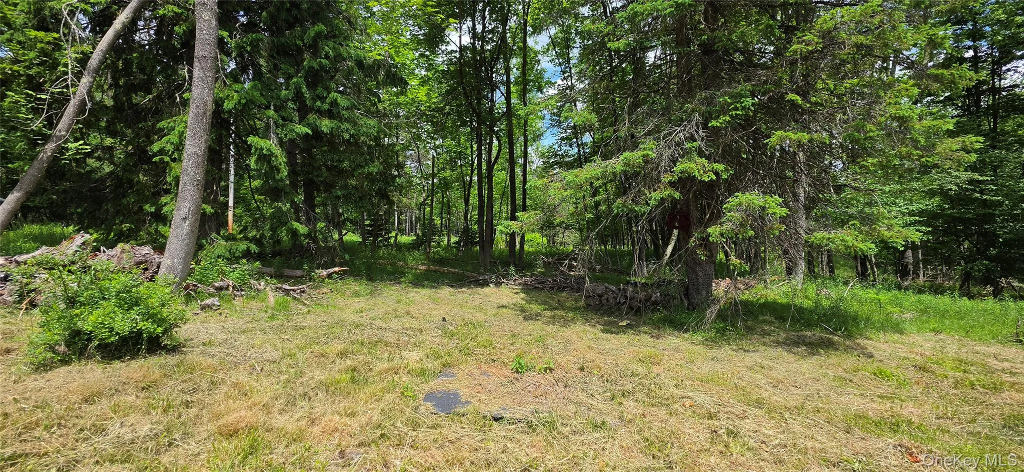 208 Parksville Road, Liberty, NY, ,Land,For Rent,Parksville,0,1009467 208 Parksville Road, Liberty, NY, ,Land,For Rent,Parksville,0,1009467