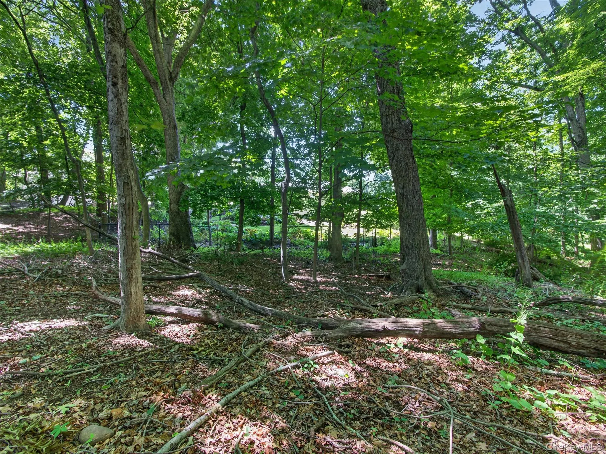 9 East Place, Ramapo, NY, 3 Bedrooms Bedrooms, 11 Rooms Rooms,3 BathroomsBathrooms,Residential,For Rent,East,0,1009475 9 East Place, Ramapo, NY, 3 Bedrooms Bedrooms, 11 Rooms Rooms,3 BathroomsBathrooms,Residential,For Rent,East,0,1009475