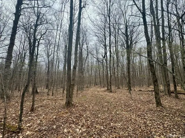 Lot 4 Shaver Hill Road, Meredith, NY, ,Land,For Rent,Shaver Hill Road,0,1009477 Lot 4 Shaver Hill Road, Meredith, NY, ,Land,For Rent,Shaver Hill Road,0,1009477