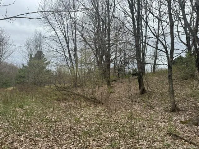 Lot 4 Shaver Hill Road, Meredith, NY, ,Land,For Rent,Shaver Hill Road,0,1009477 Lot 4 Shaver Hill Road, Meredith, NY, ,Land,For Rent,Shaver Hill Road,0,1009477