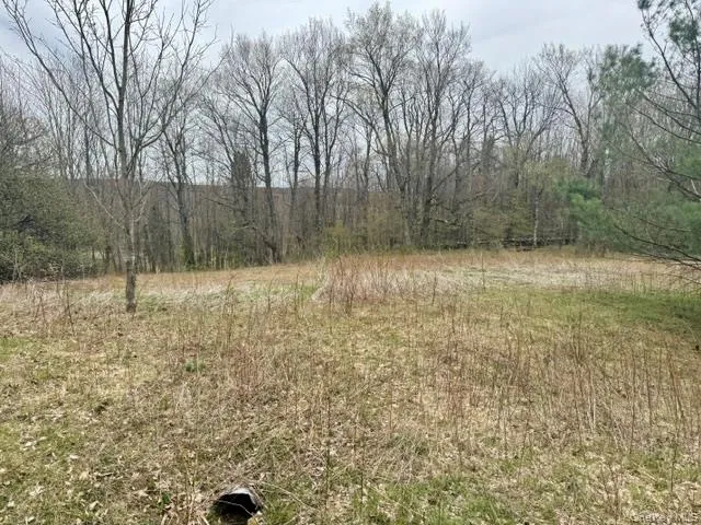 Lot 4 Shaver Hill Road, Meredith, NY, ,Land,For Rent,Shaver Hill Road,0,1009477 Lot 4 Shaver Hill Road, Meredith, NY, ,Land,For Rent,Shaver Hill Road,0,1009477