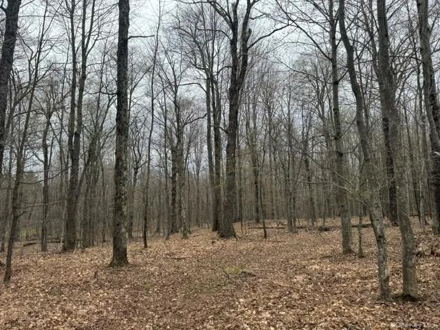 Lot 4 Shaver Hill Road, Meredith, NY, ,Land,For Rent,Shaver Hill Road,0,1009477 Lot 4 Shaver Hill Road, Meredith, NY, ,Land,For Rent,Shaver Hill Road,0,1009477