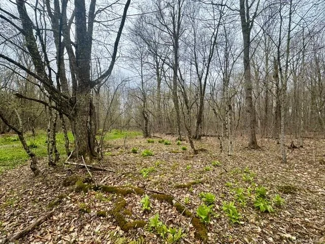 Lot 4 Shaver Hill Road, Meredith, NY, ,Land,For Rent,Shaver Hill Road,0,1009477 Lot 4 Shaver Hill Road, Meredith, NY, ,Land,For Rent,Shaver Hill Road,0,1009477