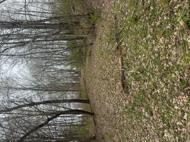 Lot 4 Shaver Hill Road, Meredith, NY, ,Land,For Rent,Shaver Hill Road,0,1009477 Lot 4 Shaver Hill Road, Meredith, NY, ,Land,For Rent,Shaver Hill Road,0,1009477