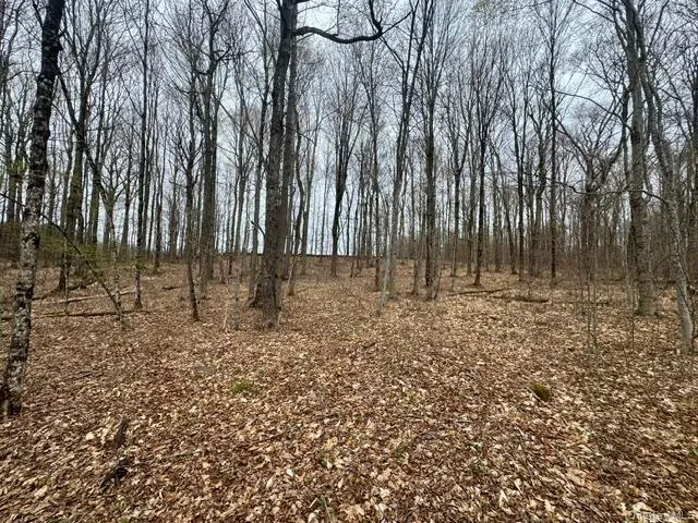 Lot 4 Shaver Hill Road, Meredith, NY, ,Land,For Rent,Shaver Hill Road,0,1009477 Lot 4 Shaver Hill Road, Meredith, NY, ,Land,For Rent,Shaver Hill Road,0,1009477