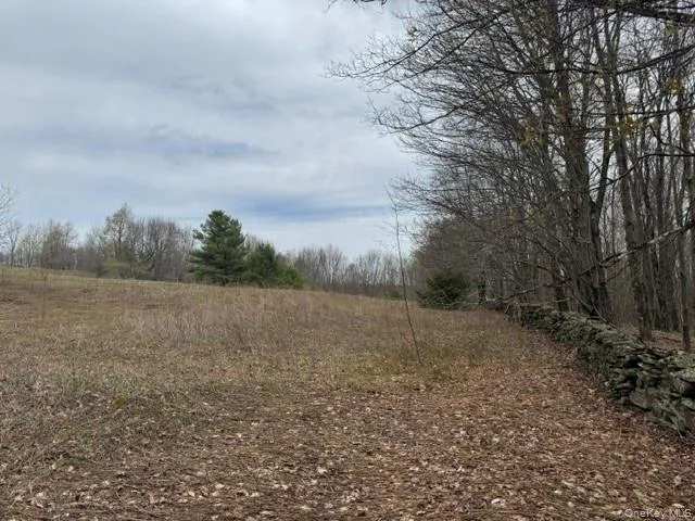 Lot 4 Shaver Hill Road, Meredith, NY, ,Land,For Rent,Shaver Hill Road,0,1009477 Lot 4 Shaver Hill Road, Meredith, NY, ,Land,For Rent,Shaver Hill Road,0,1009477