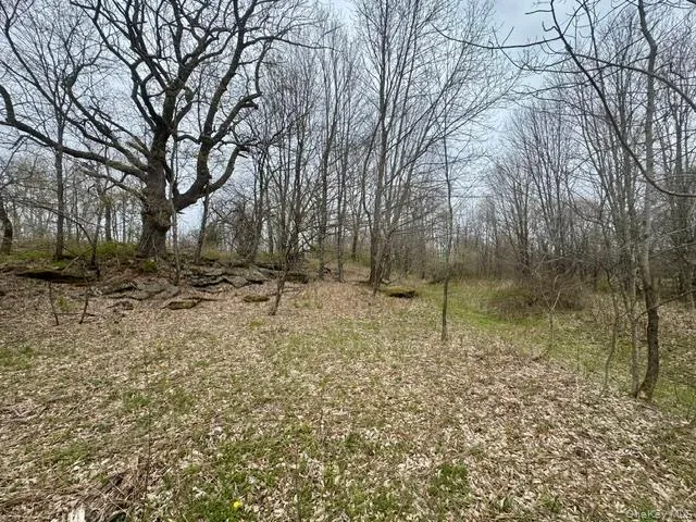 Lot 4 Shaver Hill Road, Meredith, NY, ,Land,For Rent,Shaver Hill Road,0,1009477 Lot 4 Shaver Hill Road, Meredith, NY, ,Land,For Rent,Shaver Hill Road,0,1009477