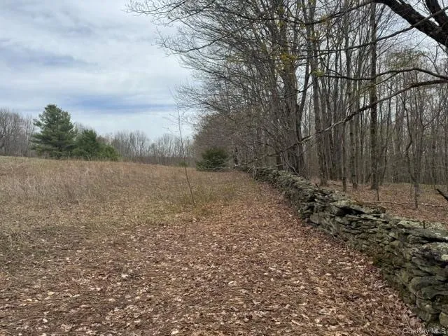 Lot 4 Shaver Hill Road, Meredith, NY, ,Land,For Rent,Shaver Hill Road,0,1009477 Lot 4 Shaver Hill Road, Meredith, NY, ,Land,For Rent,Shaver Hill Road,0,1009477
