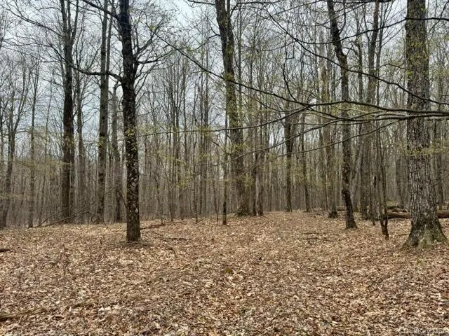 Lot 4 Shaver Hill Road, Meredith, NY, ,Land,For Rent,Shaver Hill Road,0,1009477 Lot 4 Shaver Hill Road, Meredith, NY, ,Land,For Rent,Shaver Hill Road,0,1009477