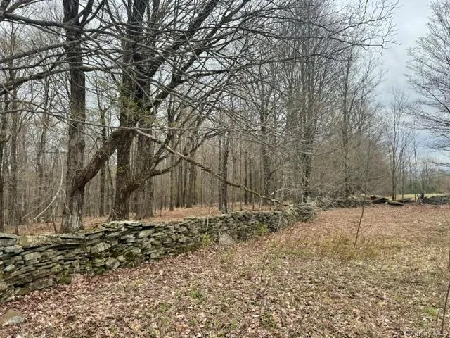 Lot 4 Shaver Hill Road, Meredith, NY, ,Land,For Rent,Shaver Hill Road,0,1009477 Lot 4 Shaver Hill Road, Meredith, NY, ,Land,For Rent,Shaver Hill Road,0,1009477