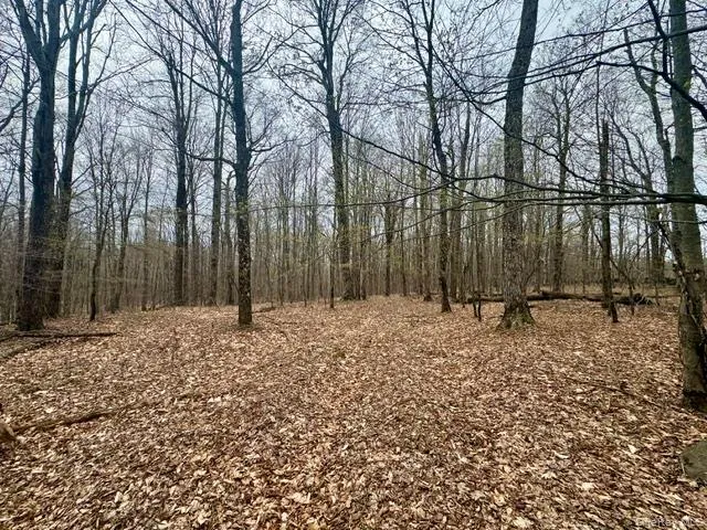 Lot 4 Shaver Hill Road, Meredith, NY, ,Land,For Rent,Shaver Hill Road,0,1009477 Lot 4 Shaver Hill Road, Meredith, NY, ,Land,For Rent,Shaver Hill Road,0,1009477