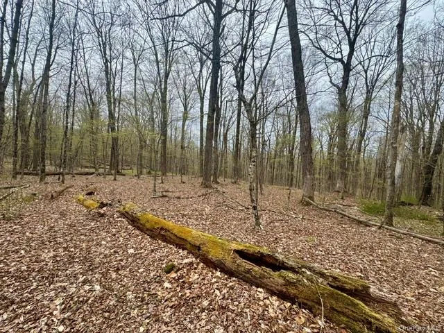 Lot 4 Shaver Hill Road, Meredith, NY, ,Land,For Rent,Shaver Hill Road,0,1009477 Lot 4 Shaver Hill Road, Meredith, NY, ,Land,For Rent,Shaver Hill Road,0,1009477