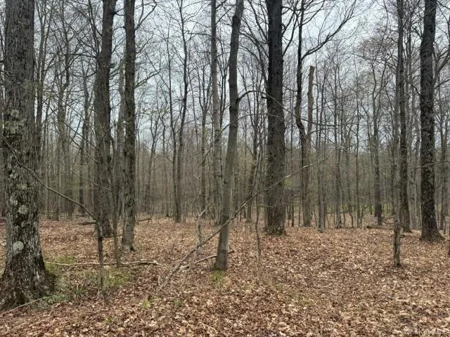 Lot 4 Shaver Hill Road, Meredith, NY, ,Land,For Rent,Shaver Hill Road,0,1009477 Lot 4 Shaver Hill Road, Meredith, NY, ,Land,For Rent,Shaver Hill Road,0,1009477