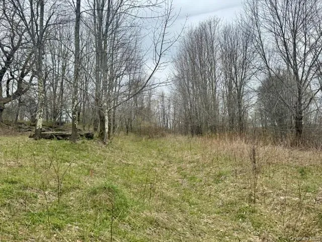 Lot 4 Shaver Hill Road, Meredith, NY, ,Land,For Rent,Shaver Hill Road,0,1009477 Lot 4 Shaver Hill Road, Meredith, NY, ,Land,For Rent,Shaver Hill Road,0,1009477