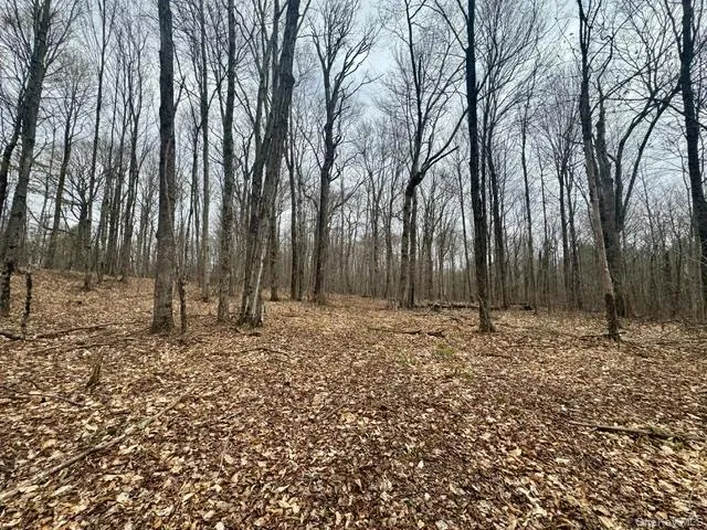 Lot 4 Shaver Hill Road, Meredith, NY, ,Land,For Rent,Shaver Hill Road,0,1009477 Lot 4 Shaver Hill Road, Meredith, NY, ,Land,For Rent,Shaver Hill Road,0,1009477