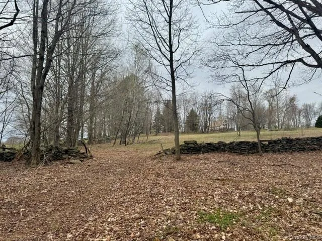 Lot 4 Shaver Hill Road, Meredith, NY, ,Land,For Rent,Shaver Hill Road,0,1009477 Lot 4 Shaver Hill Road, Meredith, NY, ,Land,For Rent,Shaver Hill Road,0,1009477