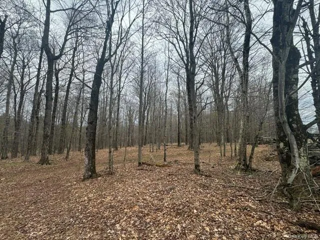 Lot 4 Shaver Hill Road, Meredith, NY, ,Land,For Rent,Shaver Hill Road,0,1009477 Lot 4 Shaver Hill Road, Meredith, NY, ,Land,For Rent,Shaver Hill Road,0,1009477
