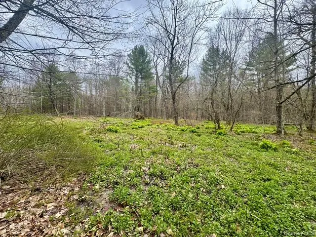 Lot 4 Shaver Hill Road, Meredith, NY, ,Land,For Rent,Shaver Hill Road,0,1009477 Lot 4 Shaver Hill Road, Meredith, NY, ,Land,For Rent,Shaver Hill Road,0,1009477
