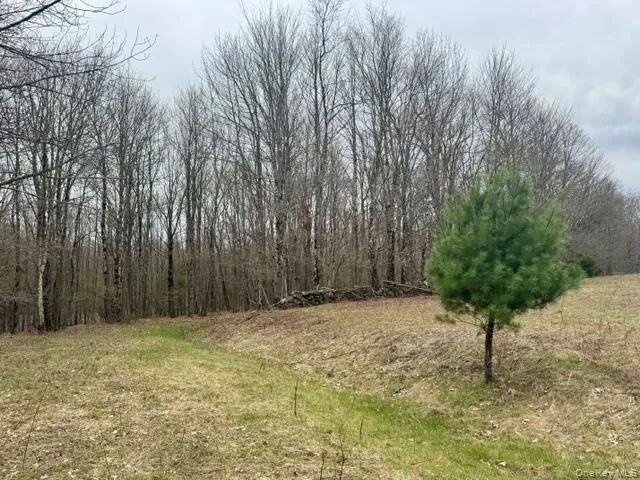 Lot 4 Shaver Hill Road, Meredith, NY, ,Land,For Rent,Shaver Hill Road,0,1009477 Lot 4 Shaver Hill Road, Meredith, NY, ,Land,For Rent,Shaver Hill Road,0,1009477